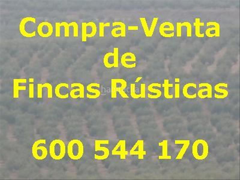 Foto 7994dfd1-3ee8-47f8-a1e1-f006750be8a4. Finca rústica finca rúst. en venta . en Quesada