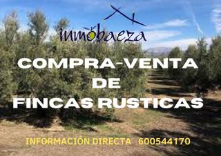 Finca rústica a Villargordo del Cabriel. Finca rúst. en venta en villargordo.