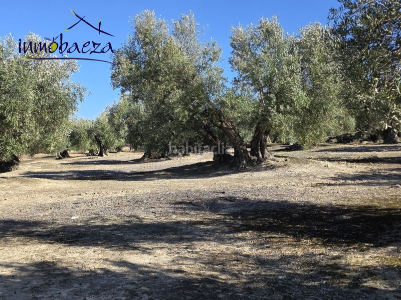 Foto 05378ae4-bc8f-4577-8f00-59b91a66d3f1. Masia a Baeza