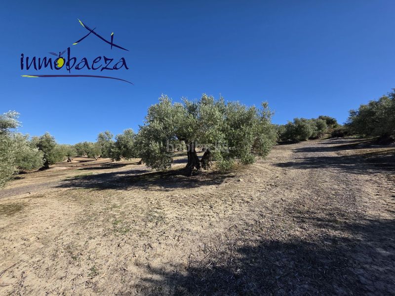 Foto b4f7a85f-c74e-4943-a386-26df5f0b4da6. Masia a Baeza