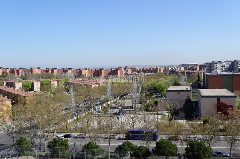 Foto 273ebb16-06c6-4efe-b9e9-1dad915c535d. Piso  en venta en Arcos Madrid