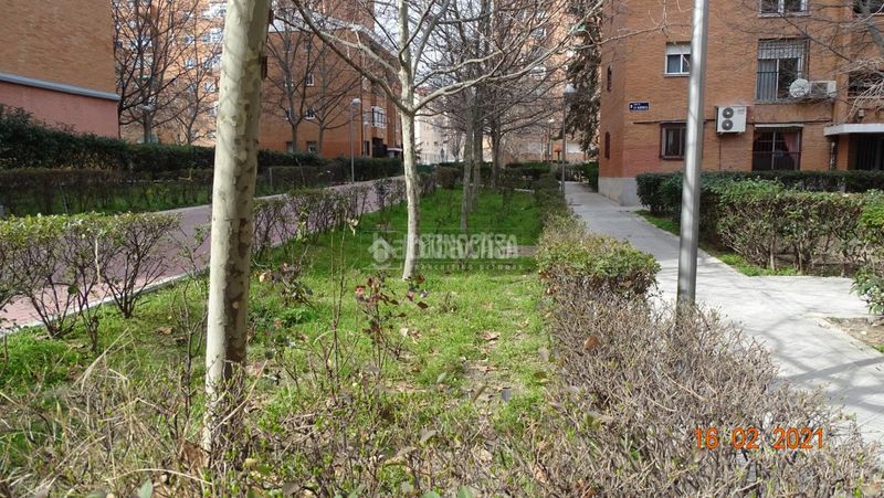 Foto fbda10a2-2d4c-4650-aa75-a9c1d5cd83e0. Pis a Arcos Madrid