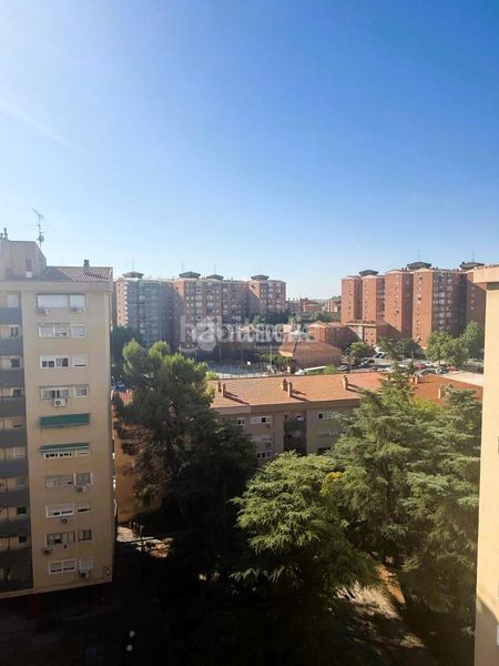 Foto 5de4f1bd-ab8b-4c95-93a3-01eb8bfef68e. Pis a Arcos Madrid