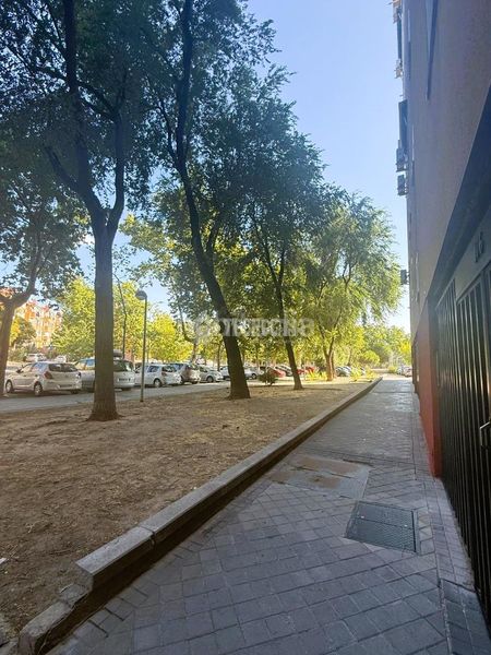 Foto 7e2c3bb3-d195-4822-8fbc-13e62267a934. Pis a Arcos Madrid