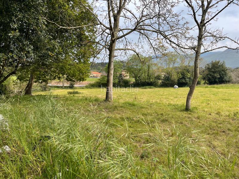 Foto a6173365-c688-4305-96c2-04dd47b6eb69. Finca rústica en n/a finca en balmori con licencia y proyecto en Llanes