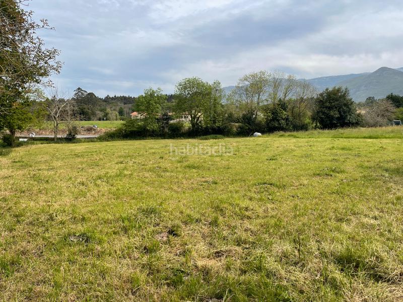 Foto c7743025-0eb7-4e67-b07a-671e04cf429c. Finca rústica en n/a finca en balmori con licencia y proyecto en Llanes