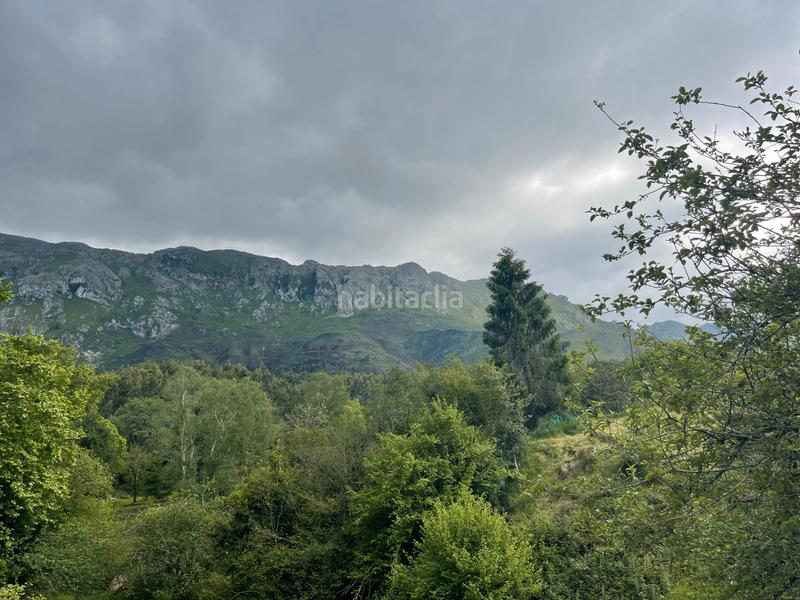 Foto 00b3b01f-5aad-4648-980a-43e374ace1fc. Rural plot in Llanes - meré 118 in Celorio-Poó-Parres Llanes