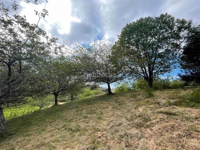 Foto 39459b17-f1c8-4e9f-ac9f-5d930ab38186. Rural plot in Llanes - meré 118 in Celorio-Poó-Parres Llanes