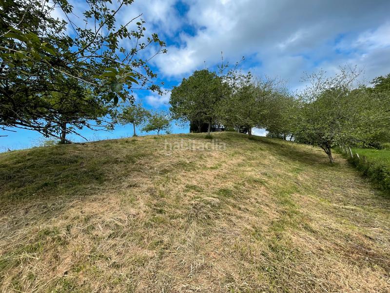 Foto 4fdbd40f-dce7-44a0-a51e-6cad116fdcf8. Rural plot in Llanes - meré 118 in Celorio-Poó-Parres Llanes