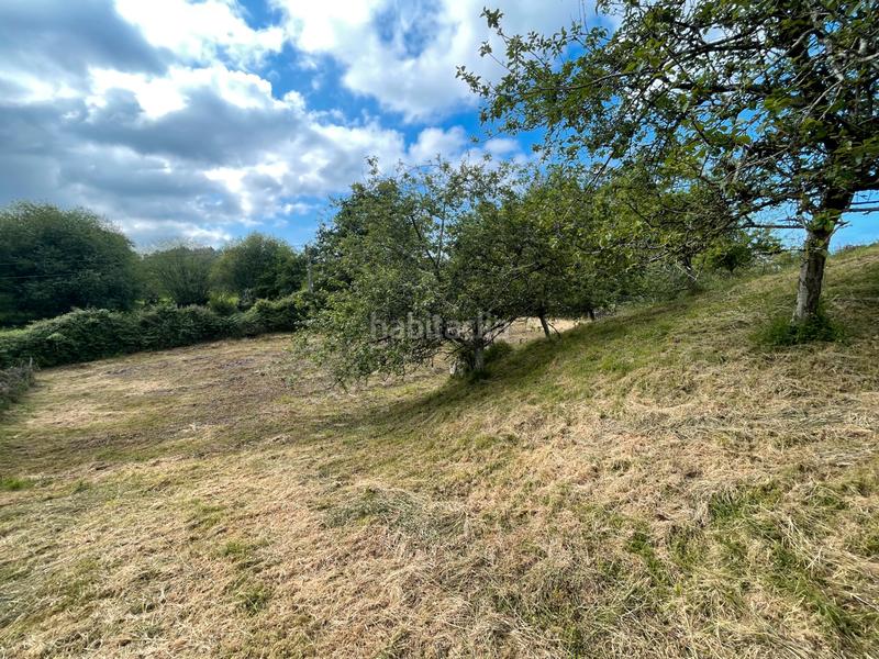 Foto 56833d2b-82d0-45ca-8fa5-94c988c12f95. Rural plot in Llanes - meré 118 in Celorio-Poó-Parres Llanes