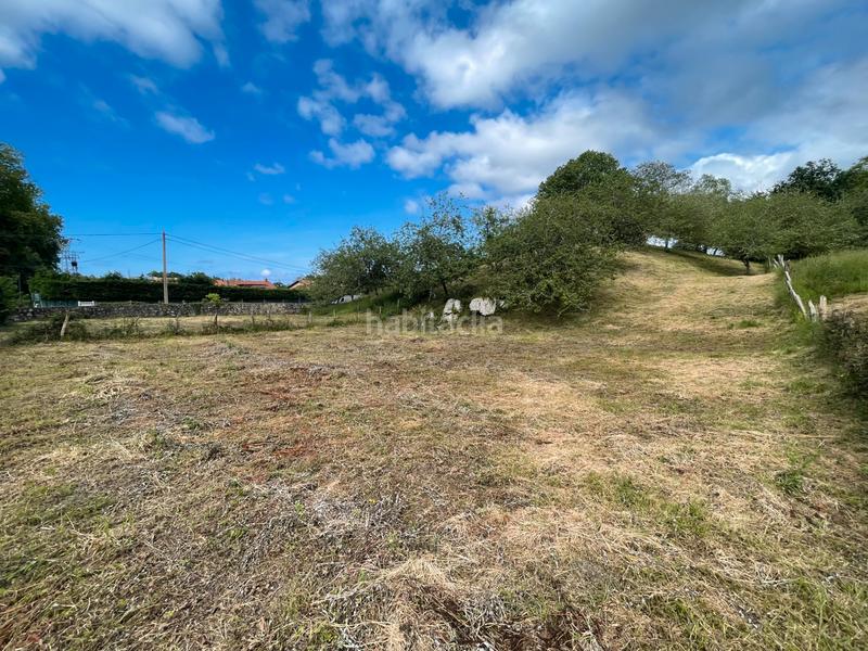 Foto b6b8b756-5288-4e6a-afe9-d5527c6239ec. Rural plot in Llanes - meré 118 in Celorio-Poó-Parres Llanes