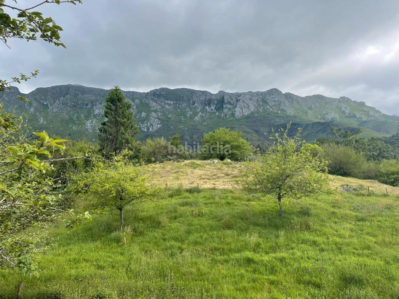 Foto bcb7413d-96e8-468f-af7b-3cdfc2dec6fa. Rural plot in Llanes - meré 118 in Celorio-Poó-Parres Llanes