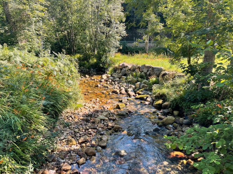 Foto 1d927482-b4e8-4f71-b5d5-91beedcbd868. Casale in n/a in Vibaña-Ardisana-Caldueño Llanes