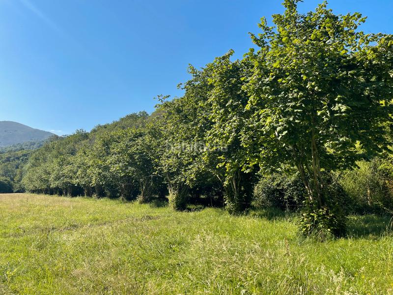 Foto 57ac9af4-2f2c-4ccf-bd54-ee9ac4affb39. Casale in n/a in Vibaña-Ardisana-Caldueño Llanes