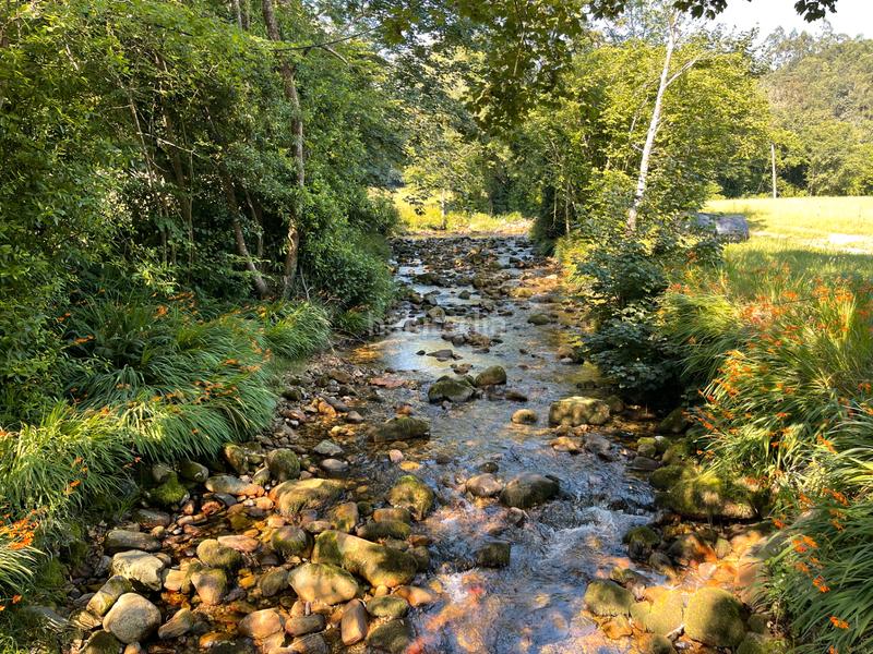 Foto 72797a25-62ce-4ddf-a0bb-6b00d1fc4a3f. Casale in n/a in Vibaña-Ardisana-Caldueño Llanes