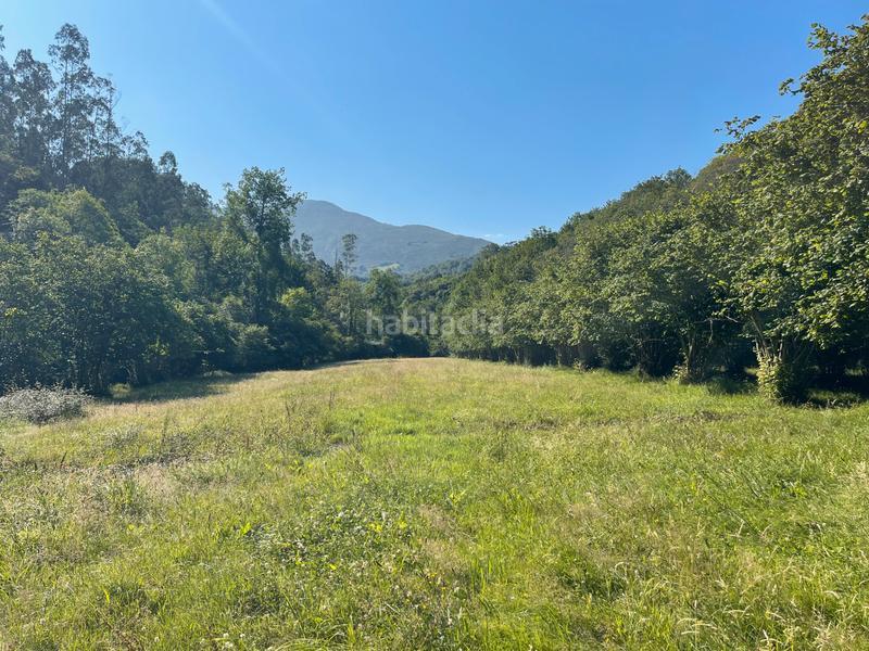 Foto 8e577e85-fc01-41b9-b4ed-315fde5c7b8b. Casale in n/a in Vibaña-Ardisana-Caldueño Llanes