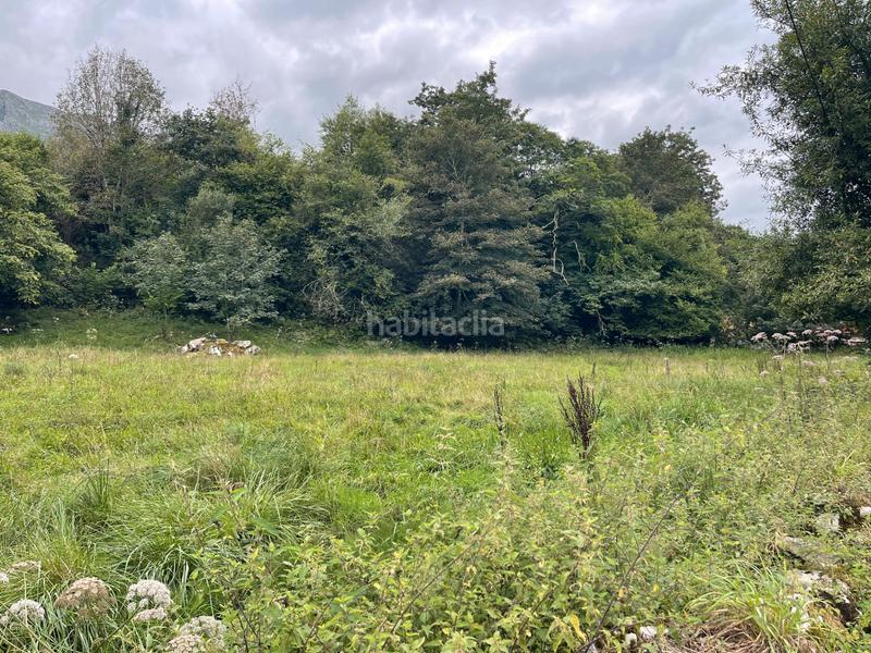 Foto 0efe4334-c161-4ec9-87e5-a97093de9e7d. Finca rústica a lugar la pereda 107 a Celorio-Poó-Parres Llanes