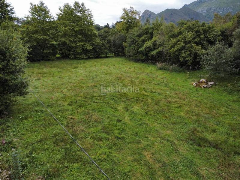 Foto 2c3c22b6-e9dc-4751-b75d-80b26198b15b. Finca rústica a lugar la pereda 107 a Celorio-Poó-Parres Llanes