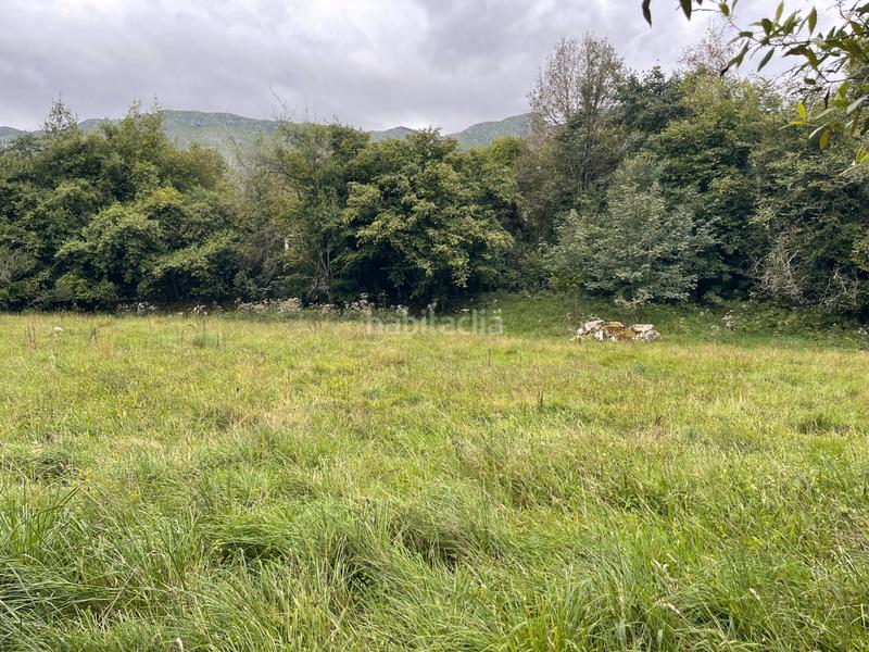 Foto 3bb00a53-b9e7-4ce0-9295-0187192ad2eb. Finca rústica a lugar la pereda 107 a Celorio-Poó-Parres Llanes