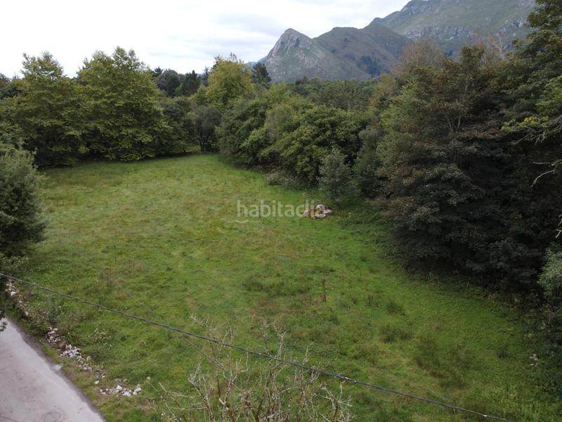 Foto 4aaaa165-f522-4496-a9a8-2933c5dfd39a. Finca rústica a lugar la pereda 107 a Celorio-Poó-Parres Llanes