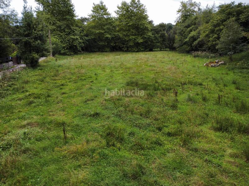 Foto 7dd0da40-55a6-40fa-910d-802e0c4e73a2. Finca rústica a lugar la pereda 107 a Celorio-Poó-Parres Llanes