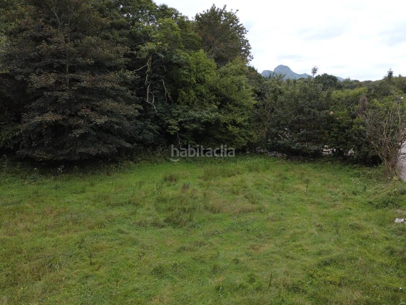 Foto 8084b2fc-0dd4-4f3a-a768-ff31d24f6033. Finca rústica a lugar la pereda 107 a Celorio-Poó-Parres Llanes