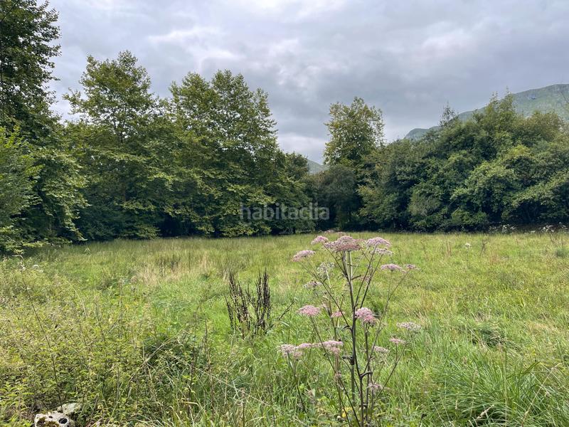 Foto 891059af-84b1-4db9-88c7-bc623da8d84d. Finca rústica a lugar la pereda 107 a Celorio-Poó-Parres Llanes