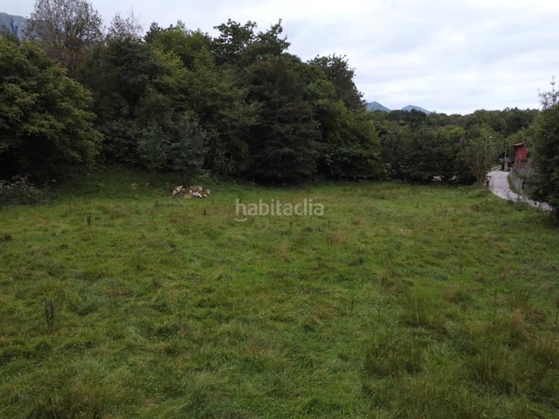 Foto 8fad619a-821d-4b7e-80dd-5b7b3904be34. Finca rústica a lugar la pereda 107 a Celorio-Poó-Parres Llanes