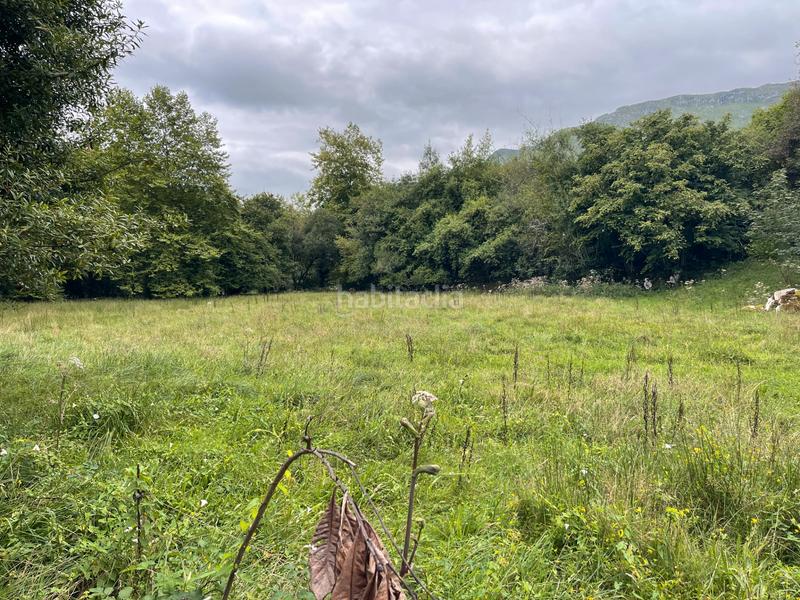 Foto c4891e7a-7128-46a4-8272-499f0b96185b. Finca rústica a lugar la pereda 107 a Celorio-Poó-Parres Llanes