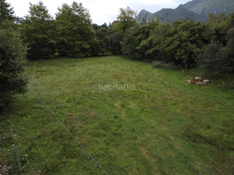 Foto edda3cb2-4d47-4d2a-beca-c6eee3afda5f. Finca rústica a lugar la pereda 107 a Celorio-Poó-Parres Llanes