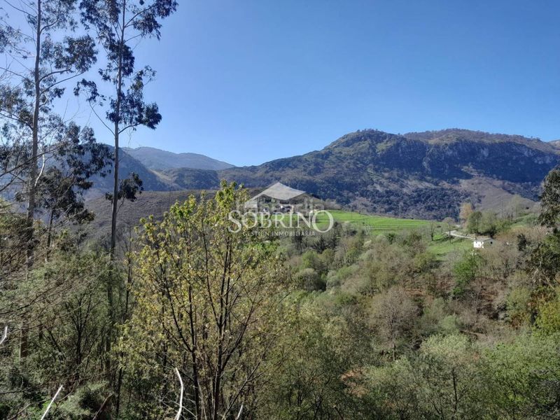 Foto b5d60f01-f29f-49c9-bc5f-ec6c349b8e19. Haus in calle rieña 1 in Peñamellera Alta
