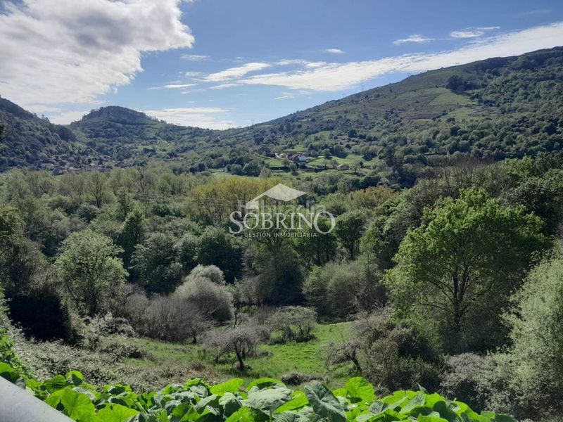 Foto 359f3fdd-e5b1-478c-a7bf-6077739bff48. Casa a Peñamellera Baja