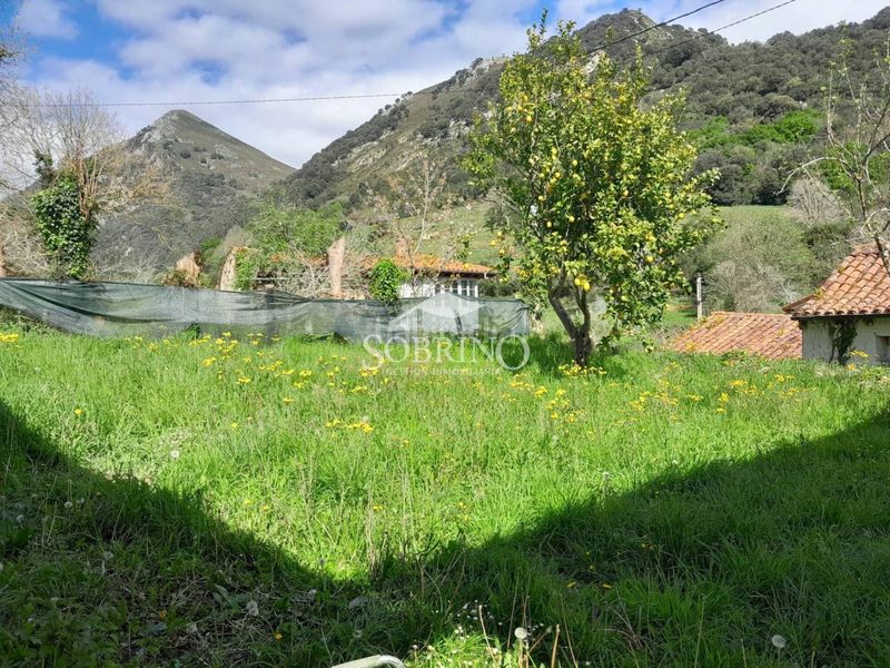 Foto 385d3391-78c0-4a6e-bb61-9508a63379e0. Casa a Peñamellera Baja