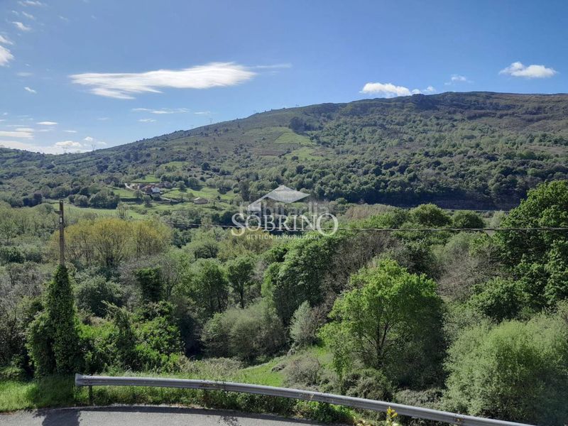 Foto 6124b8c5-c073-4c1f-9497-4c299dd6823d. Casa a Peñamellera Baja