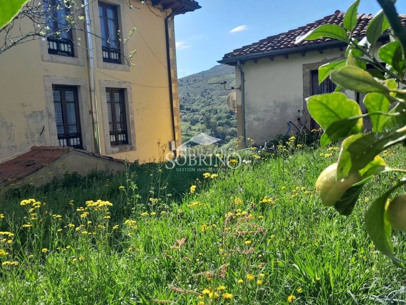 Foto a03034f0-4238-4541-bcb1-0e287580b17c. Casa a Peñamellera Baja