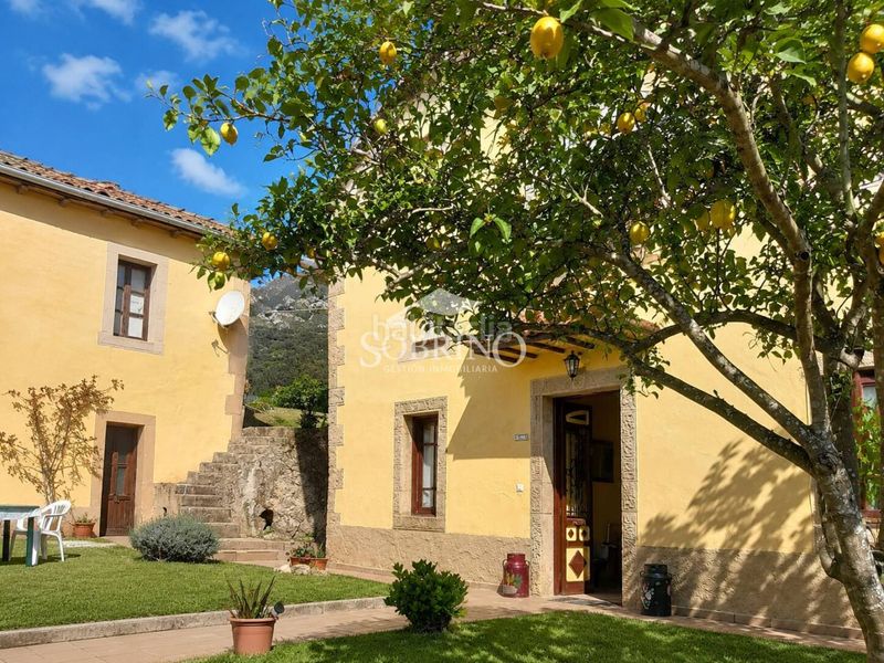 Foto b3e03f4d-ee1f-4402-9d89-c311a760c60d. Casa a Peñamellera Baja