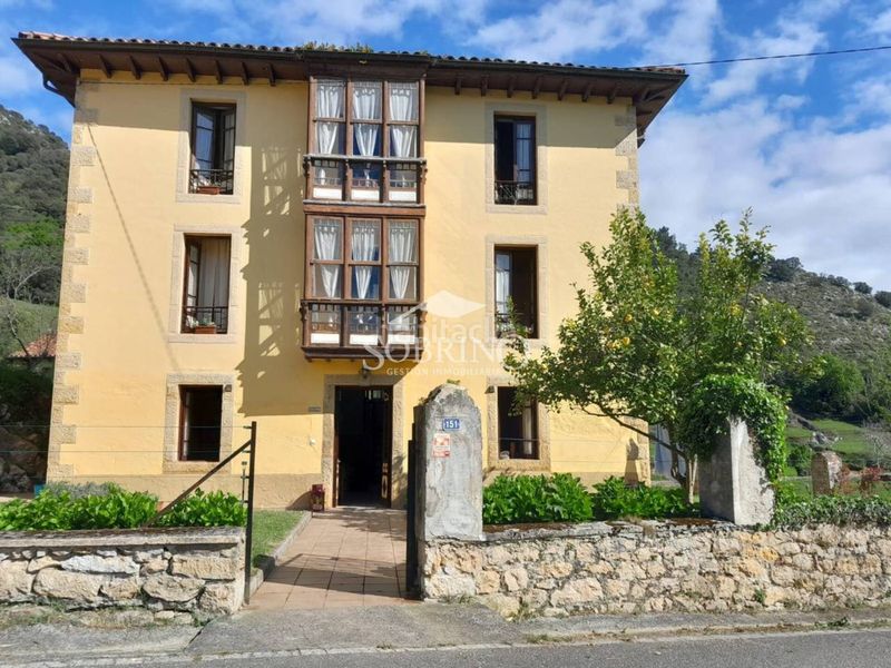 Foto ce027e07-0aec-49f9-be10-b4a92d021810. Casa a Peñamellera Baja