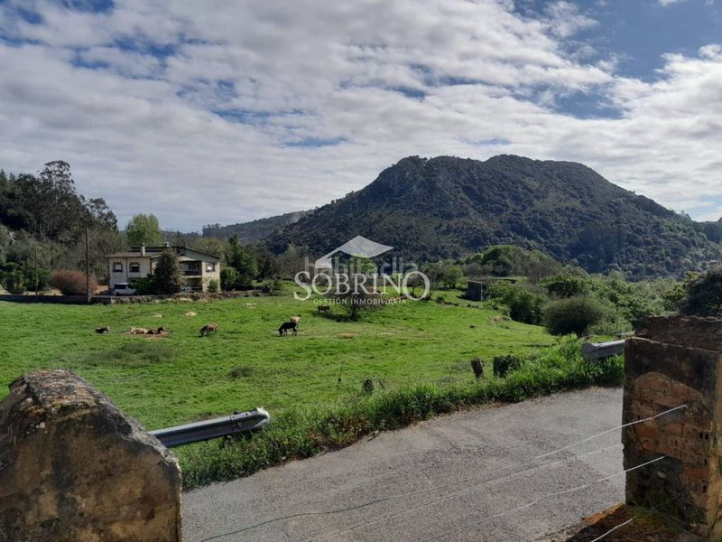 Foto cef8024e-53d3-4dab-8ee9-3cfad64b1df0. Casa a Peñamellera Baja