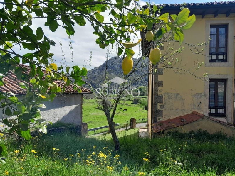 Foto ec3e43f4-9e65-43f3-9d01-5351ba74057a. Casa a Peñamellera Baja