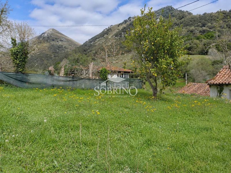 Foto fa1d953e-e92c-4a7a-a634-bad87d70202f. Casa a Peñamellera Baja