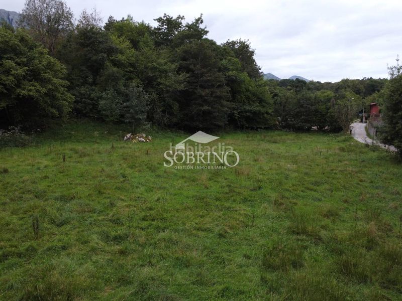 Foto c50695cc-1162-437b-94a6-458d9b73d4f3. Terreny residencial a Llanes pueblo Llanes