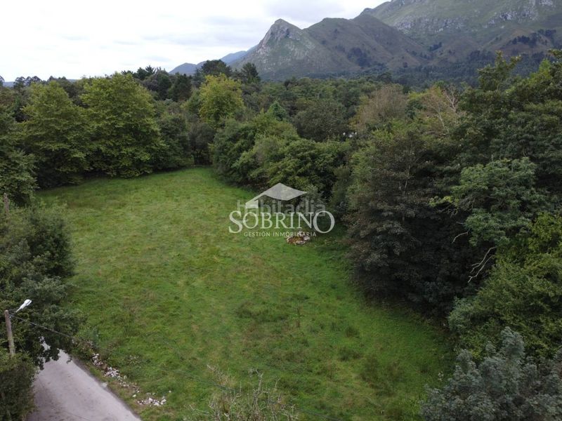 Foto ce7a318f-0c5d-4fe6-923b-5e718a6fed23. Terreny residencial a Llanes pueblo Llanes