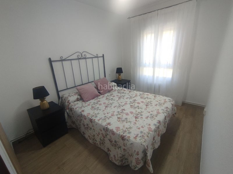 Foto b93bed09-2aed-428d-9693-c66cee8b3bac. Pis a Viveiro