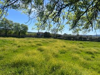 Fondo rustico in Sotillo de la Adrada