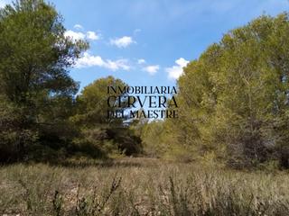 Finca rústica a Partidas de Interior - Zona Rústica. Finca rústica de 8.213 m2 en el término municipal de vinaròs con