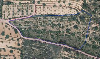 Finca rústica a Cervera del Maestre. Finca rústica en cervera del maestre de 21.133m2 con proyecto de