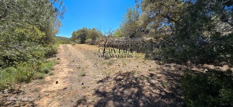 Foto 522ec693-20fc-4810-b068-7bb7ce929507. Casale in Cervera del Maestre