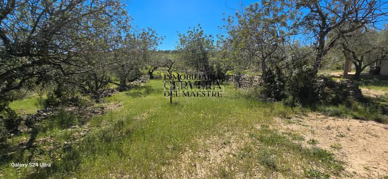 Foto 56f21630-9066-48ce-bfff-74121a1a0c62. Casale in Cervera del Maestre