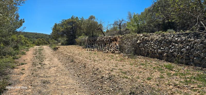 Foto 7c3b07e6-c010-48f7-8b46-7028521f5171. Casale in Cervera del Maestre