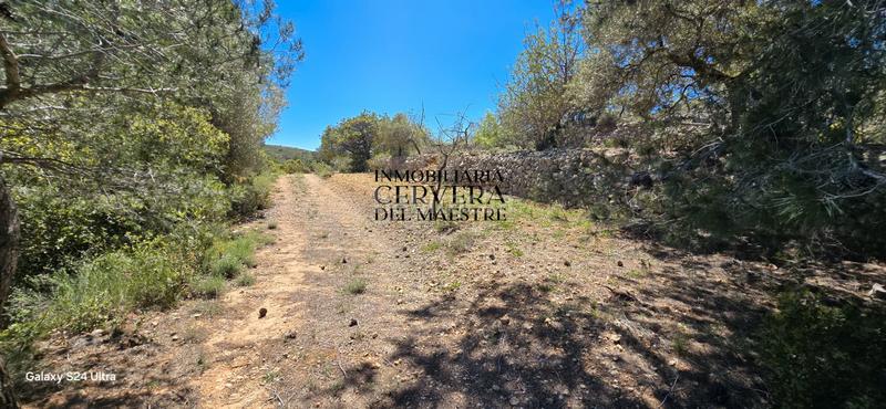 Foto 8faa2066-dec5-41e7-bdec-b5a9408e1af9. Casale in Cervera del Maestre